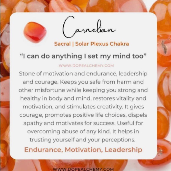 Carnelian cooper wire wrapped necklace earrings - Picture 4 of 4